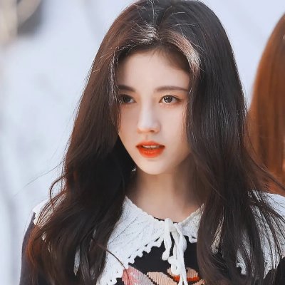 莫丽的朝圣